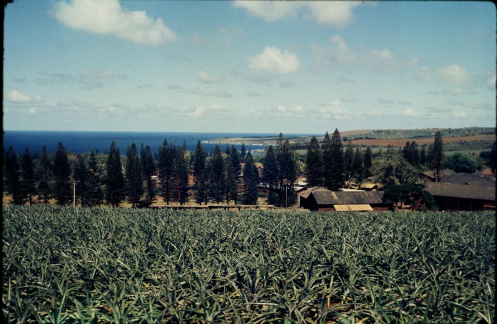 Vintage Kapalua, Maui | Vintage Maui Photos | Vintage Hawaii